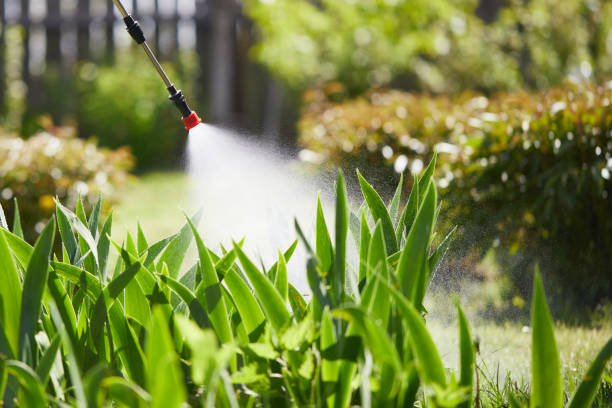 24/7 Emergency Fumigation Services experts in Clarksville, AR